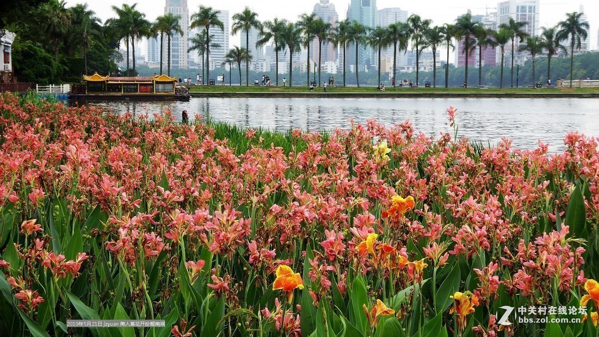 #版主坐堂#小五星空(中国)2019年五月精品荟萃