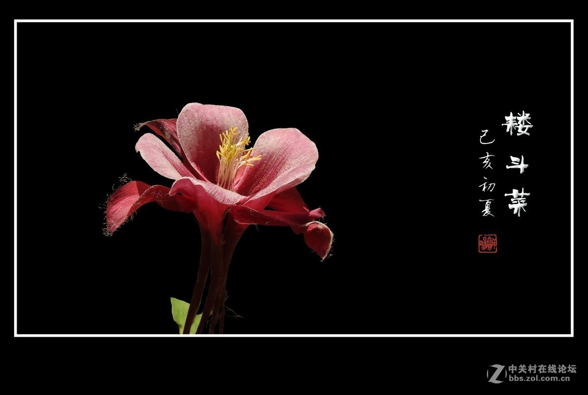 #版主坐堂#小五星空(中国)2019年五月精品荟萃