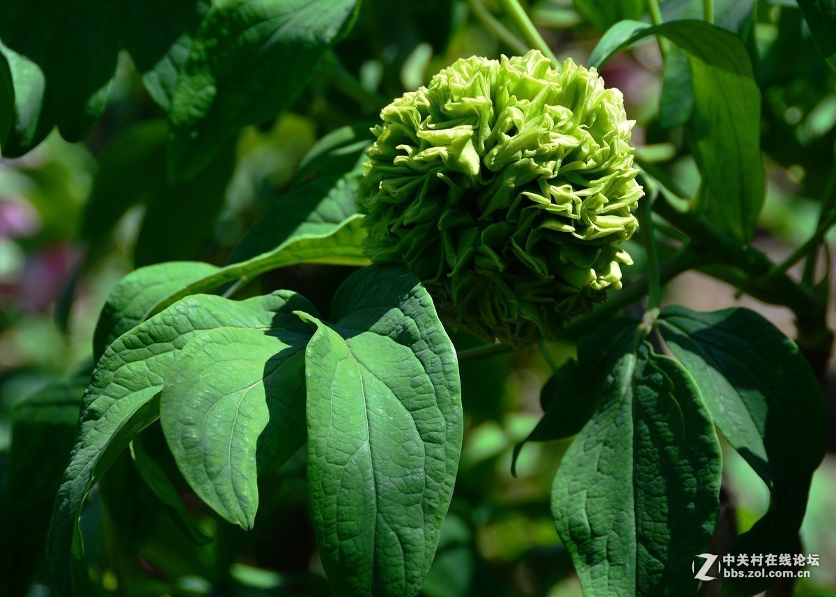 #版主坐堂#小五星空(中国)2019年五月精品荟萃