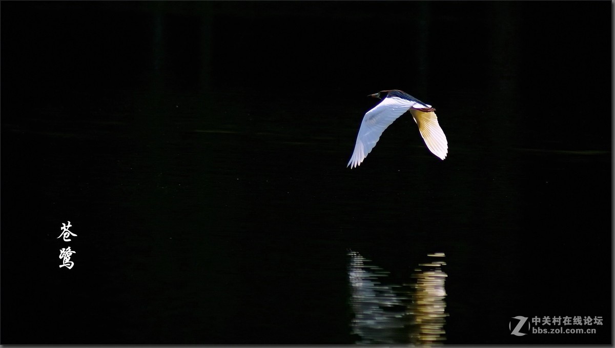 #版主坐堂#小五星空(中国)2019年五月精品荟萃