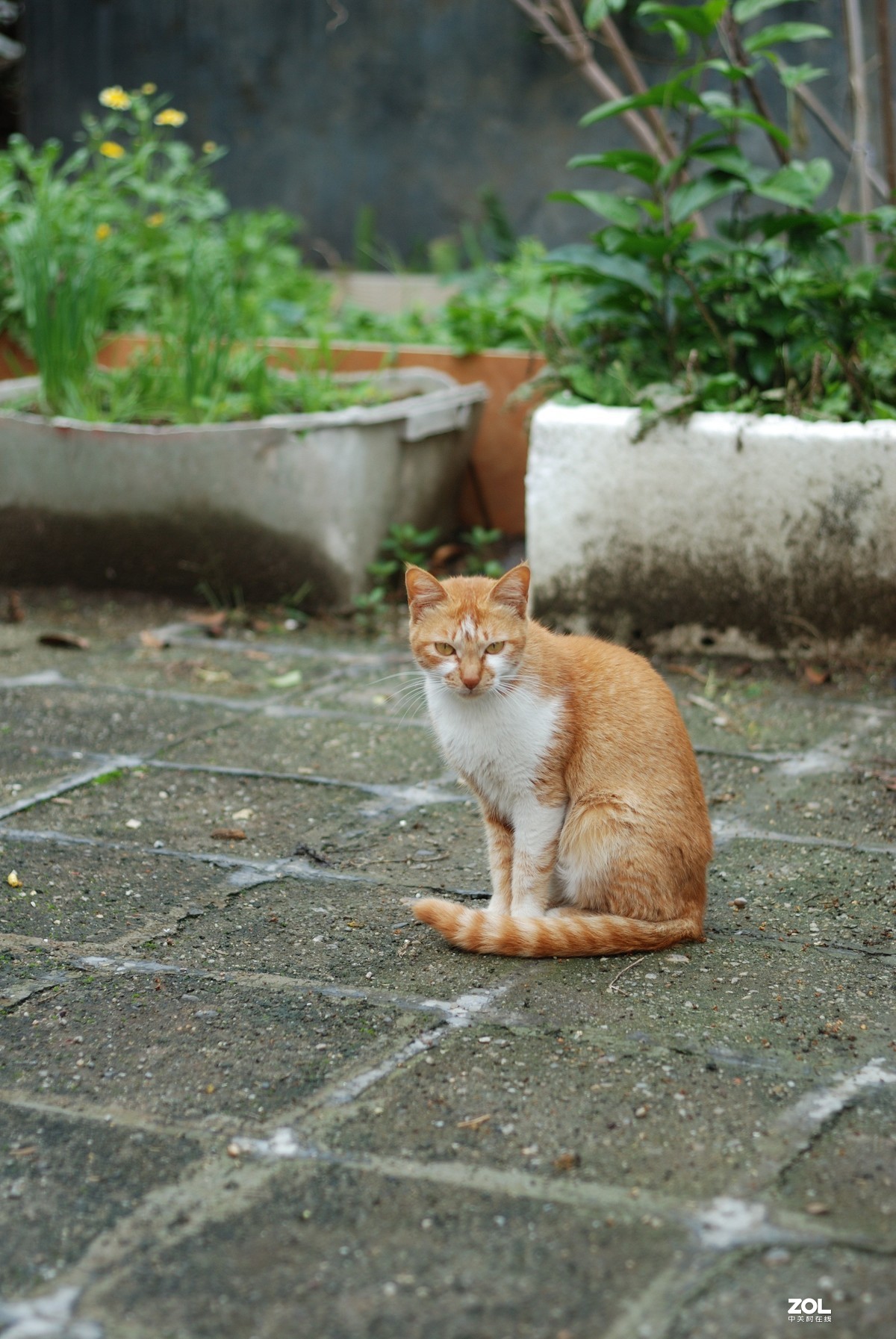 入手D80，体现一下CCD。