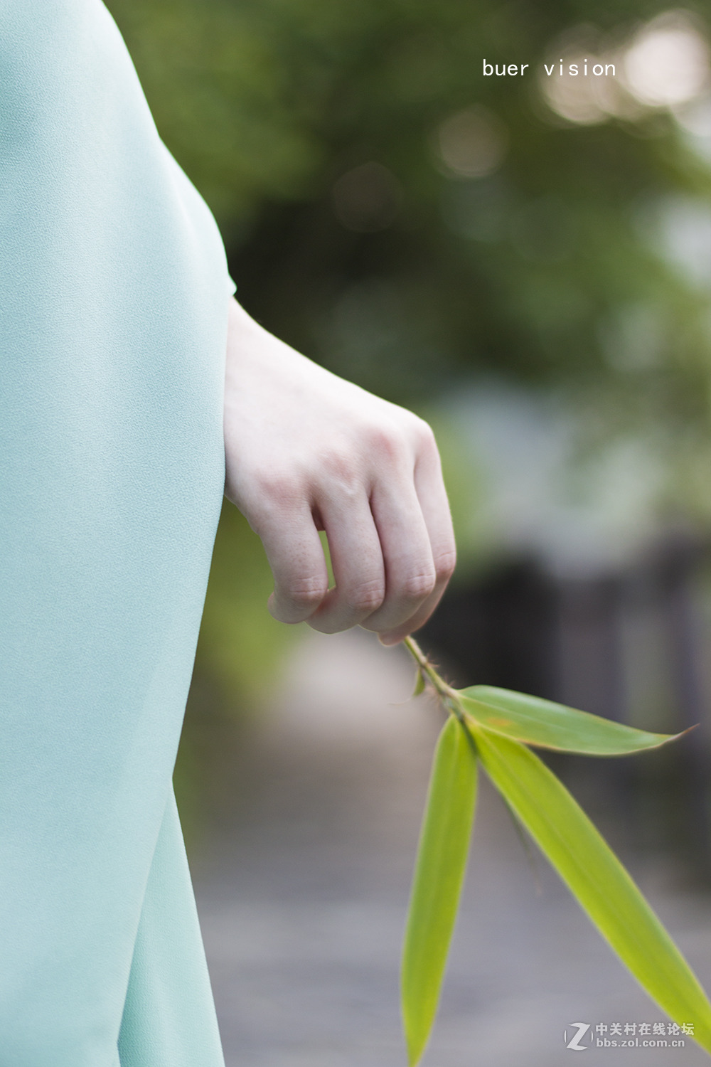 雾漫小东江之青白蛇！