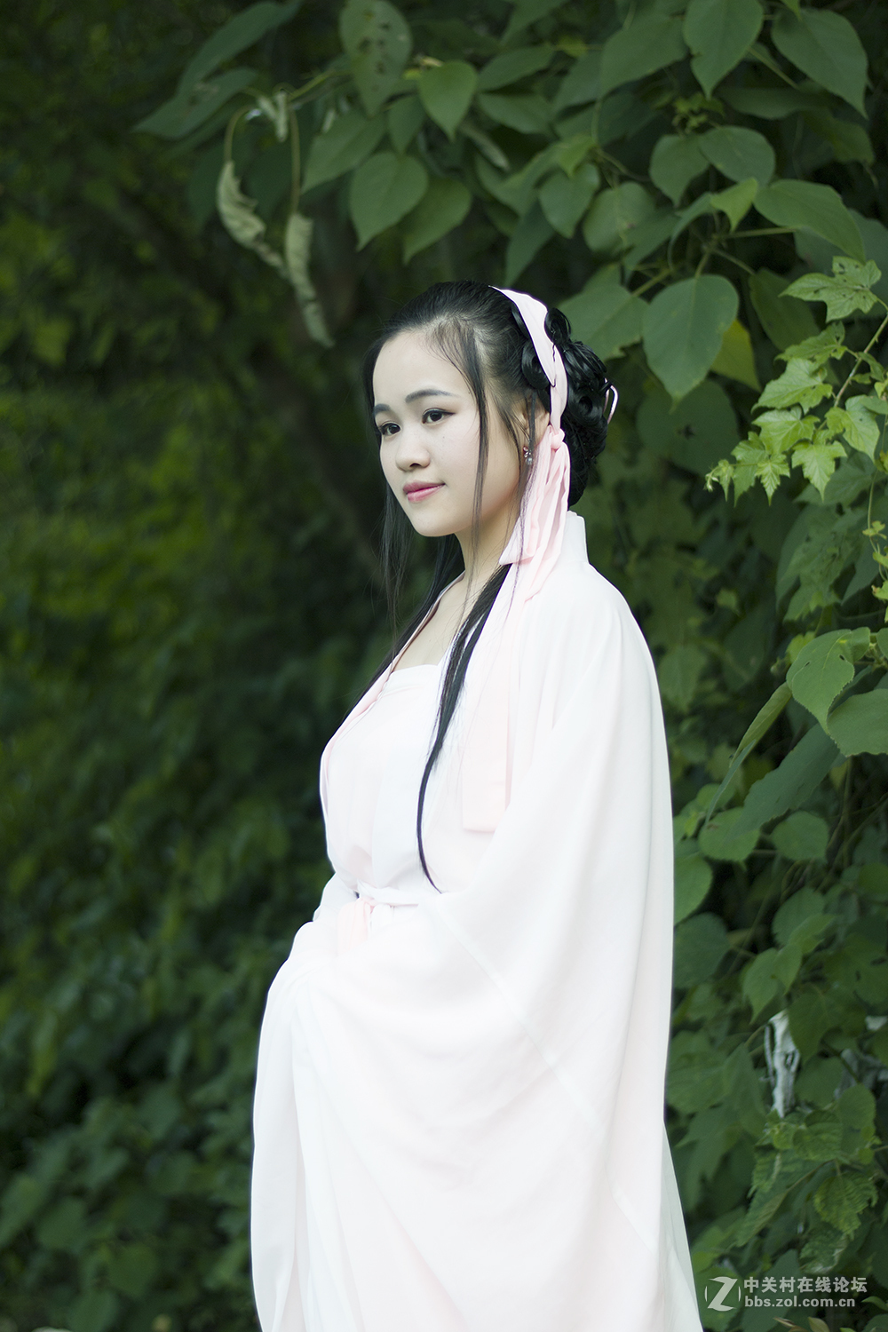 雾漫小东江之青白蛇！