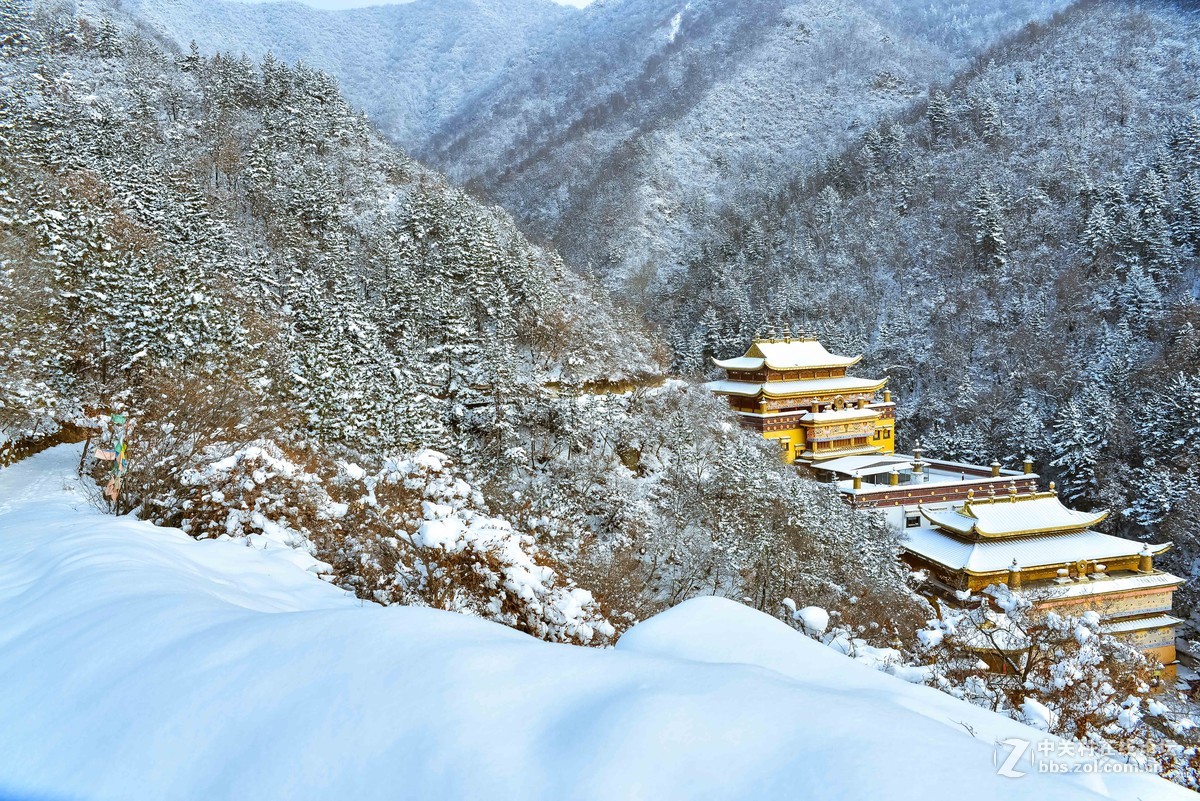 清涼一夏一組蘭州石佛溝雪景