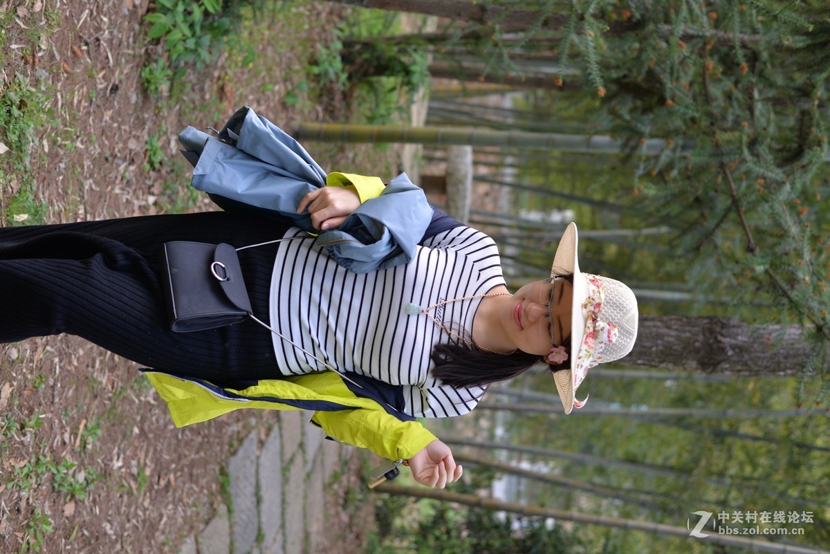 回来看看，发图几张