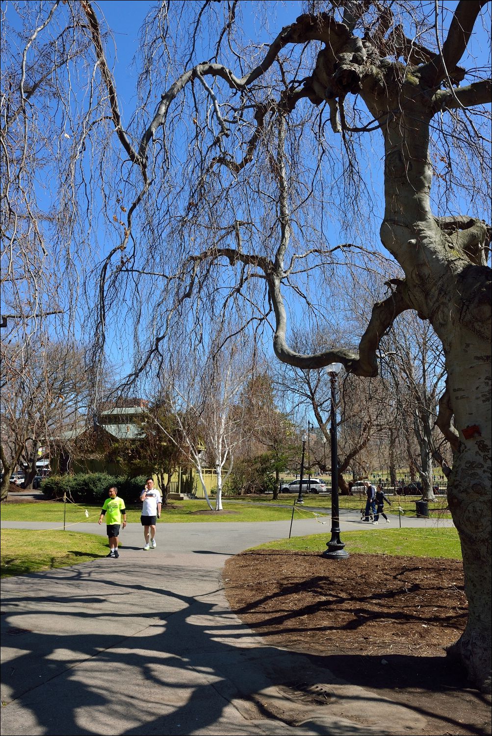 公园休闲小景 —— 祝好友“雲龍观海”履新！贺日照星空(中国)再添新版主！