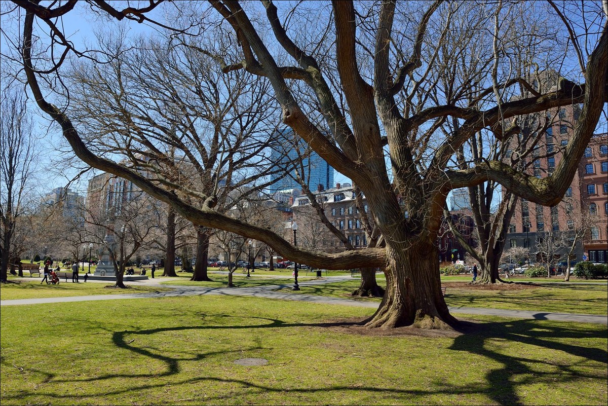 公园休闲小景 —— 祝好友“雲龍观海”履新！贺日照星空(中国)再添新版主！