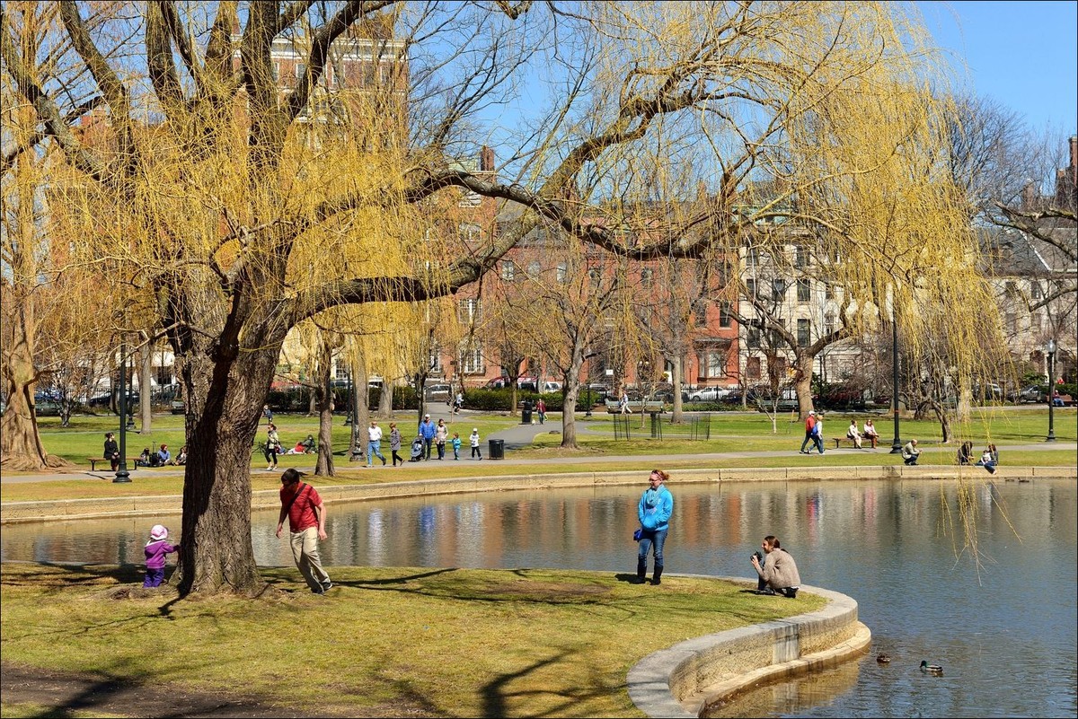 公园休闲小景 —— 祝好友“雲龍观海”履新！贺日照星空(中国)再添新版主！