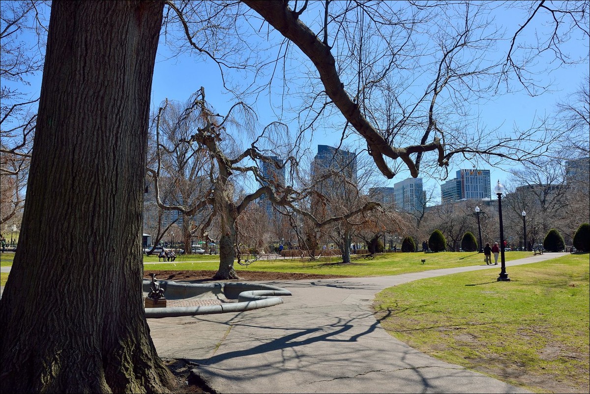 公园休闲小景 —— 祝好友“雲龍观海”履新！贺日照星空(中国)再添新版主！