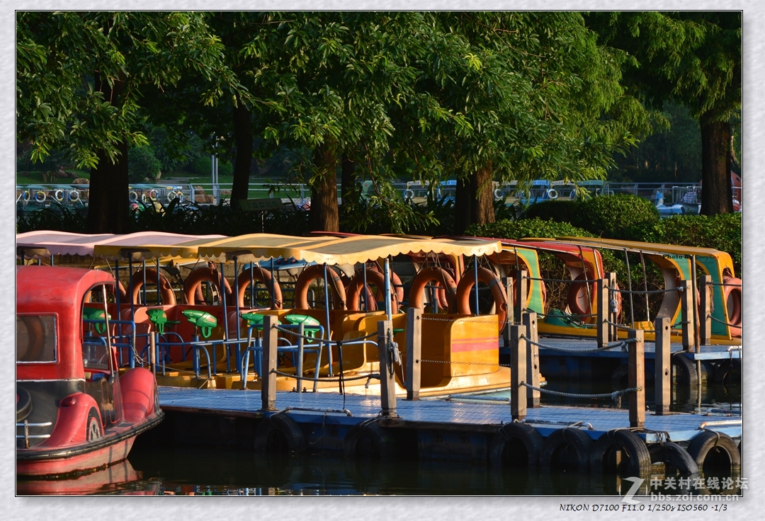 東湖公園與早起的人們