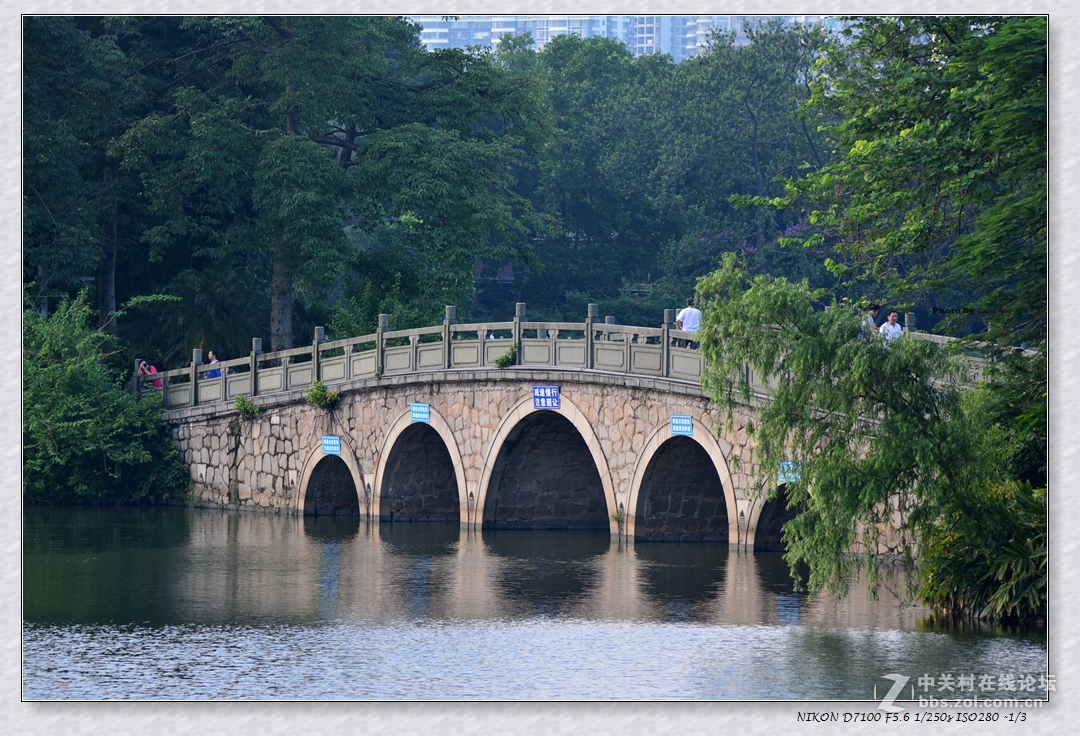 東湖公園與早起的人們