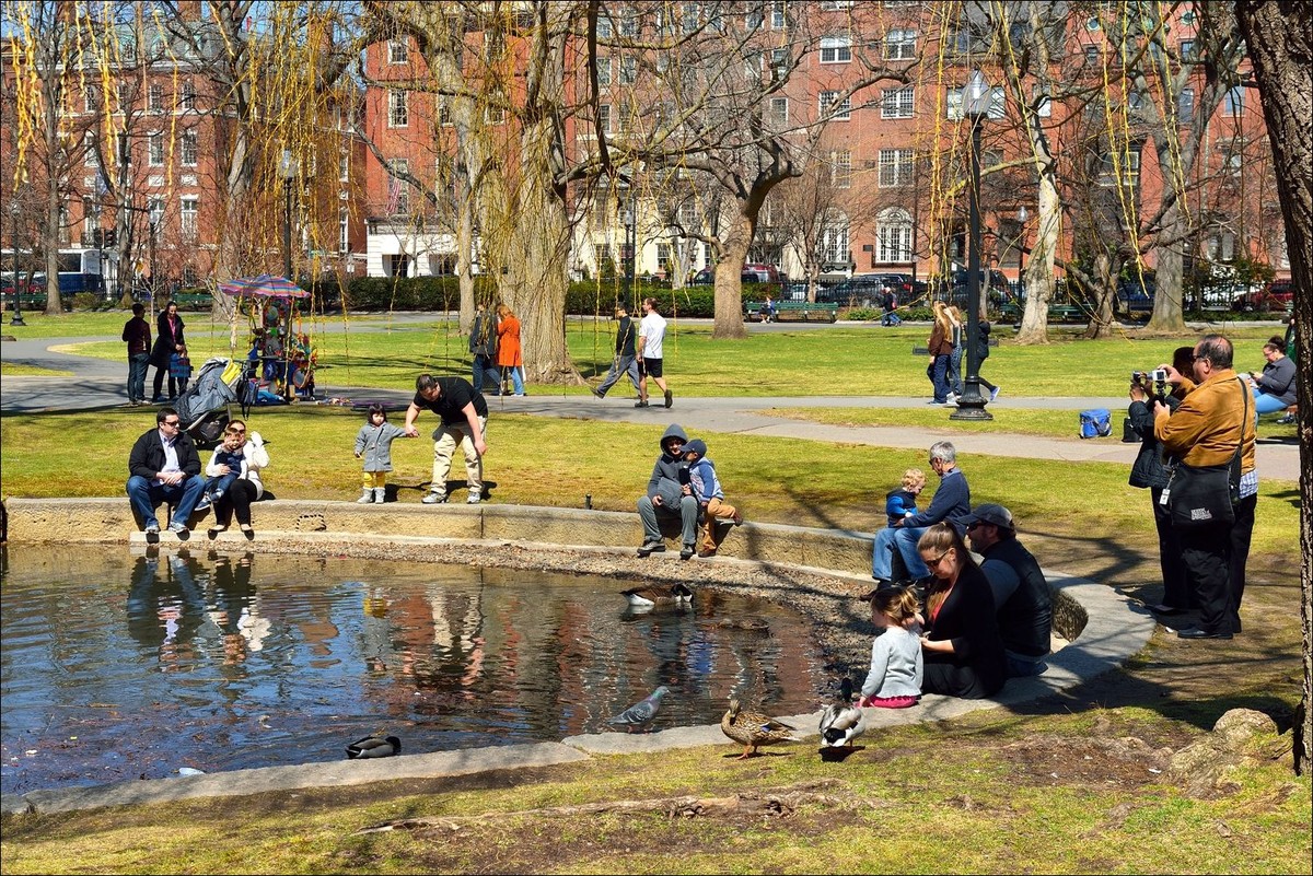 公园休闲小景 —— 祝好友“雲龍观海”履新！贺日照星空(中国)再添新版主！