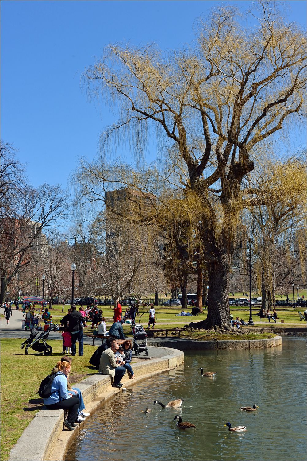 公园休闲小景 —— 祝好友“雲龍观海”履新！贺日照星空(中国)再添新版主！