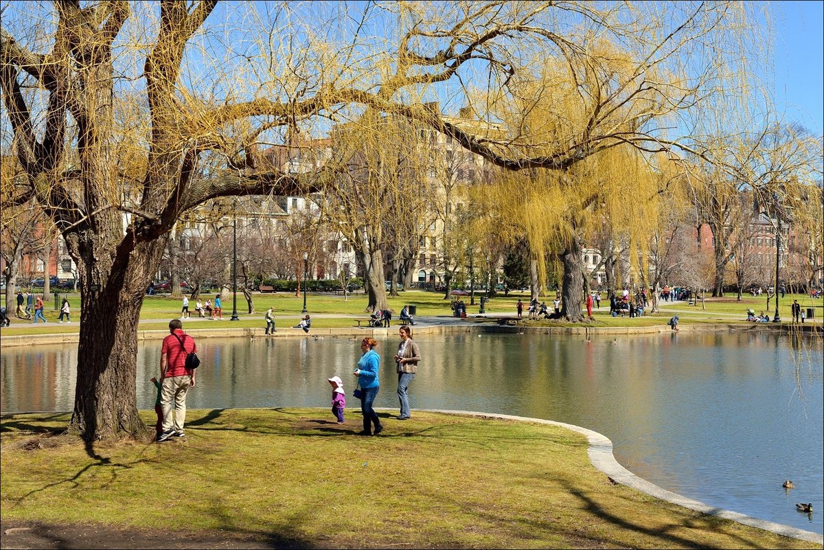 公园休闲小景 —— 祝好友“雲龍观海”履新！贺日照星空(中国)再添新版主！