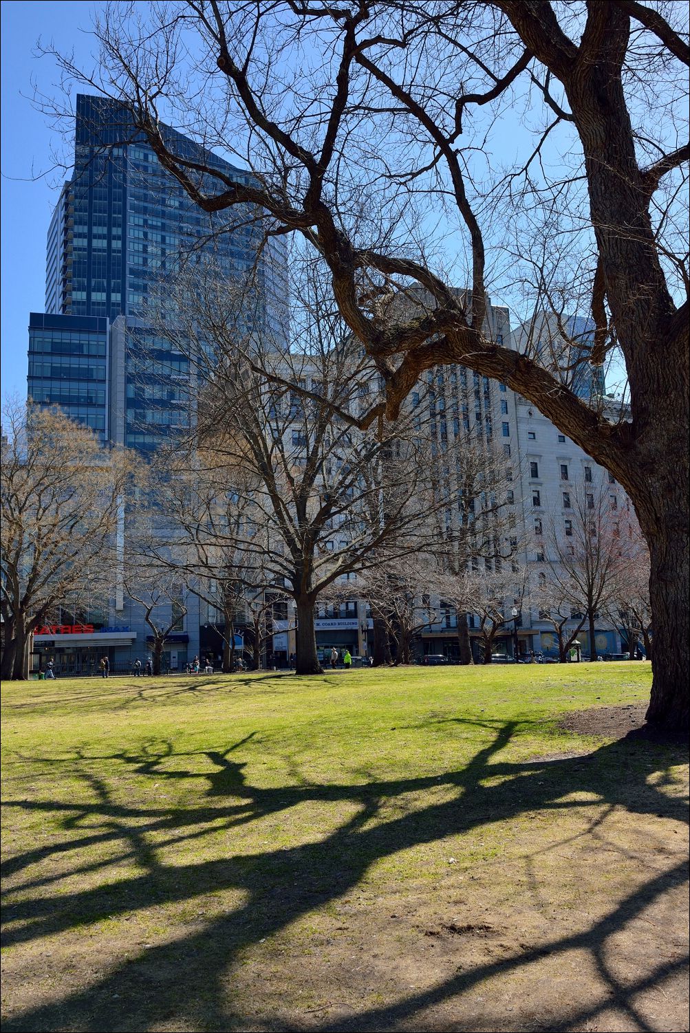 公园休闲小景 —— 祝好友“雲龍观海”履新！贺日照星空(中国)再添新版主！