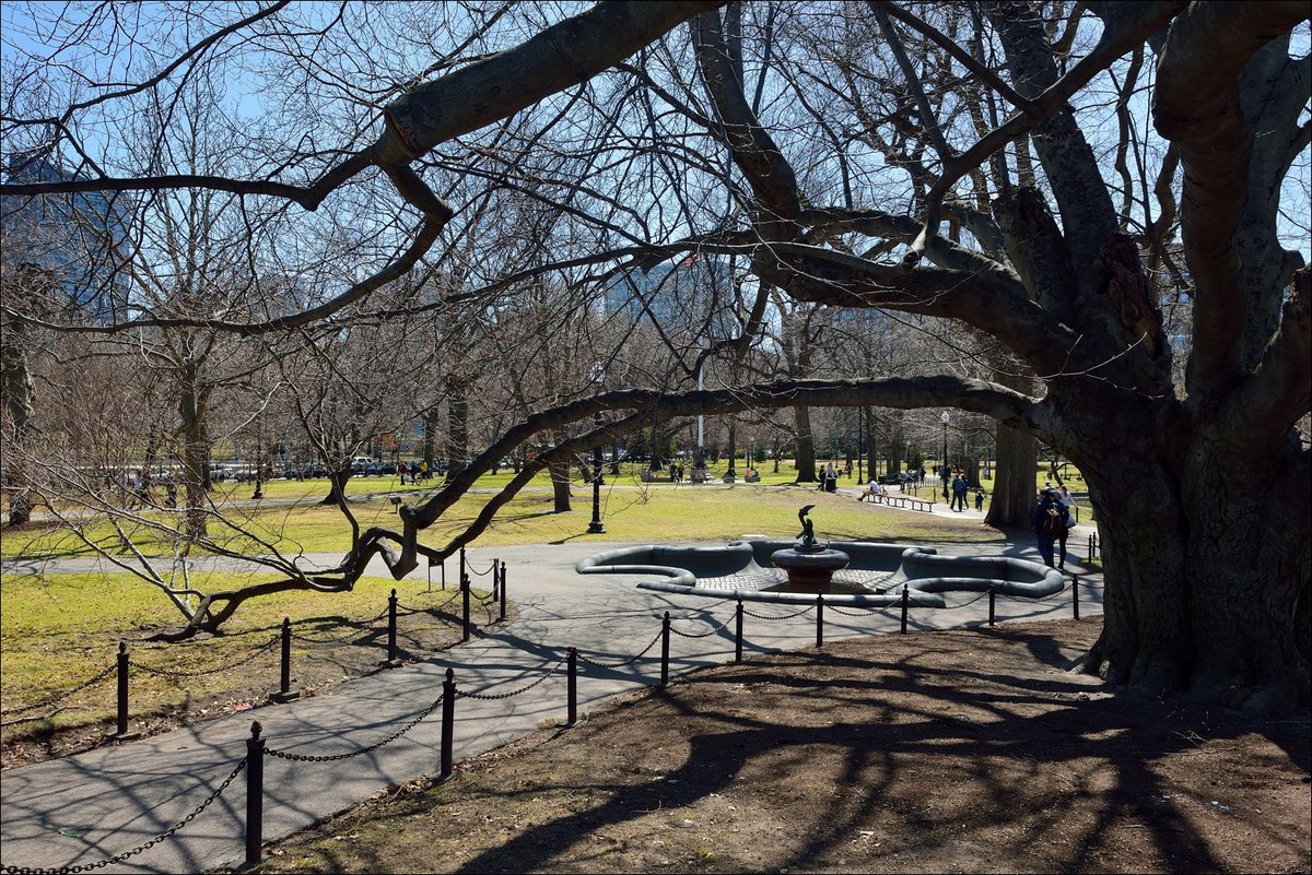 公园休闲小景 —— 祝好友“雲龍观海”履新！贺日照星空(中国)再添新版主！