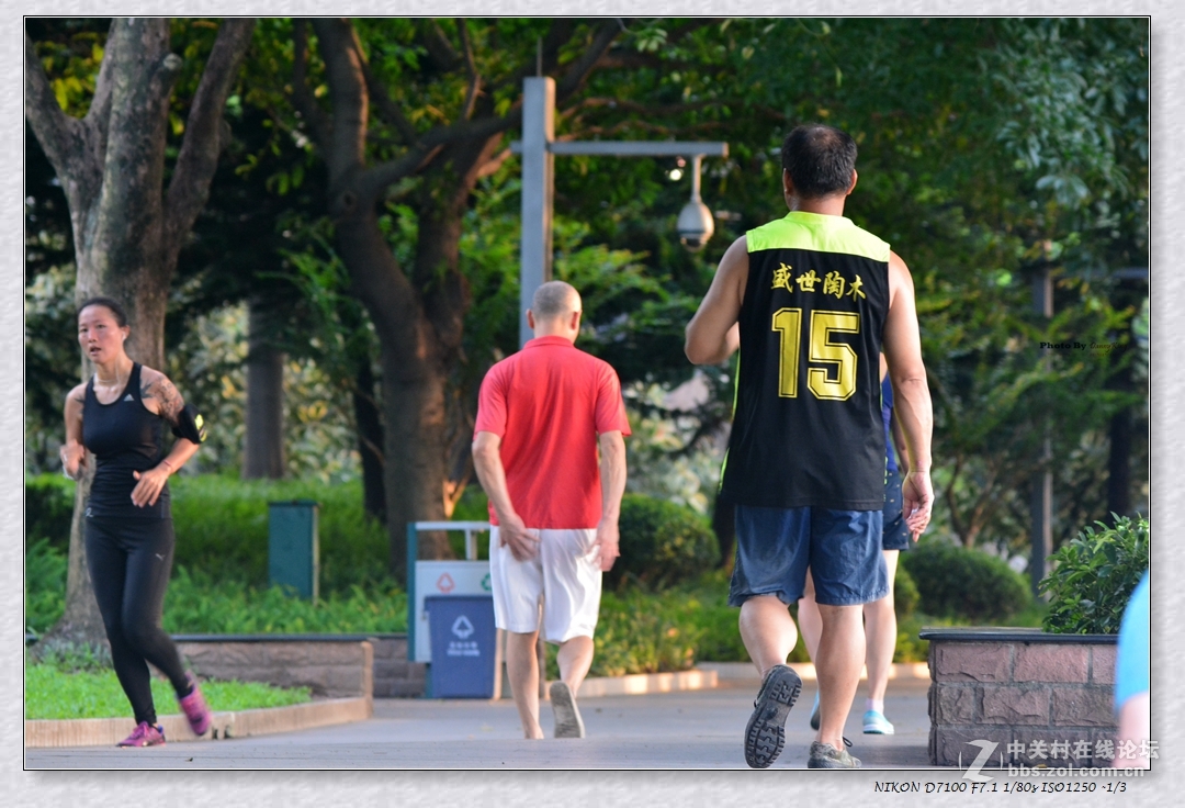 東湖公園與早起的人們