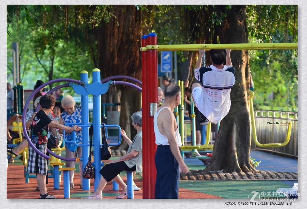 東湖公園與早起的人們