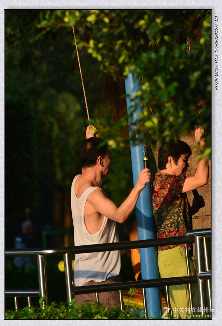 東湖公園與早起的人們