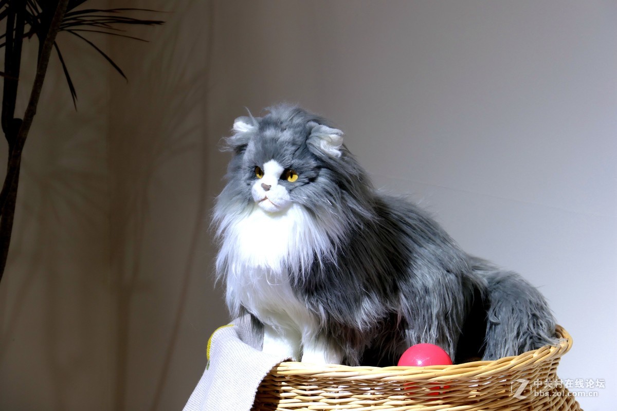 北京第二十二届相机器材展———随拍