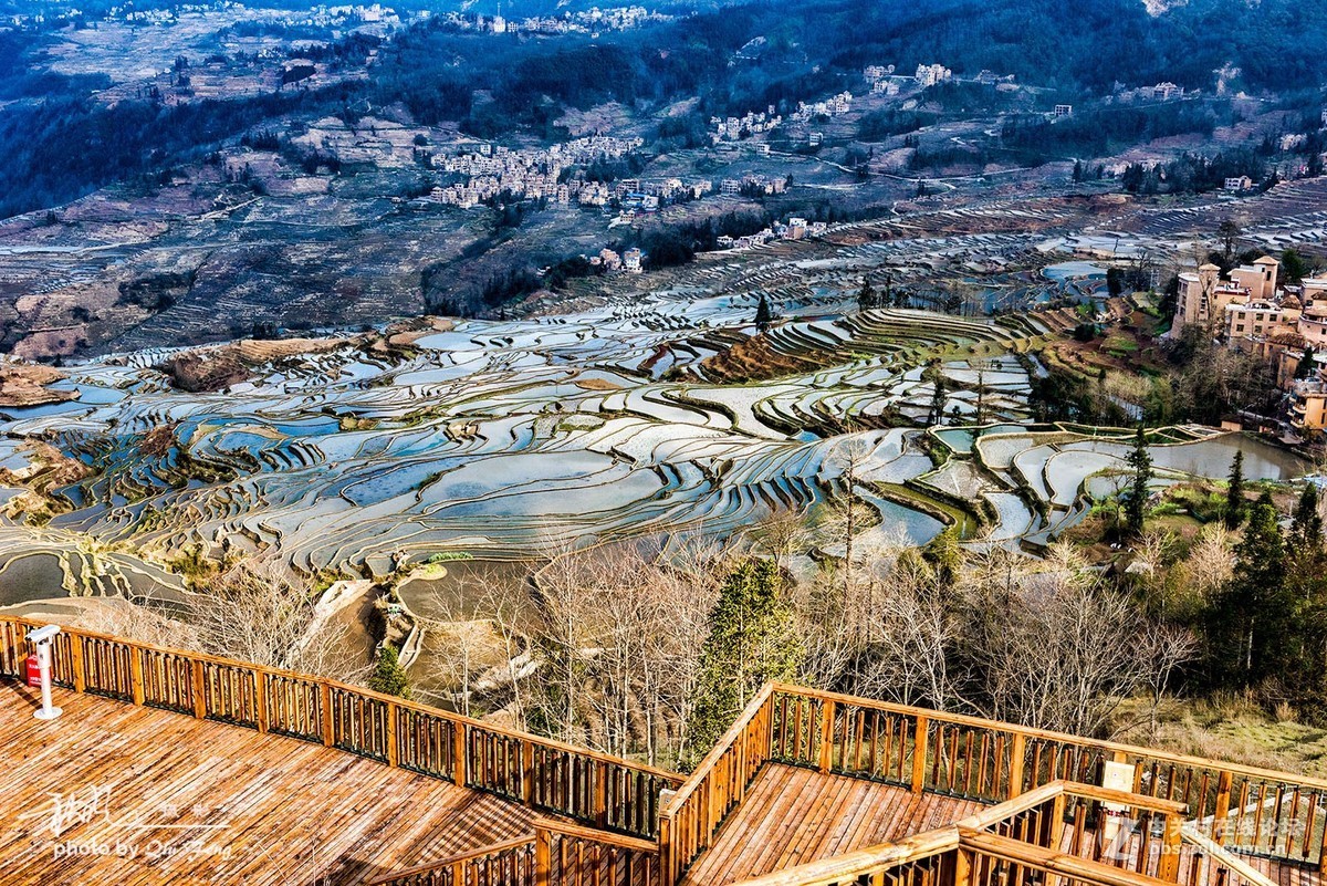 云南元阳哈尼梯田多依树景区