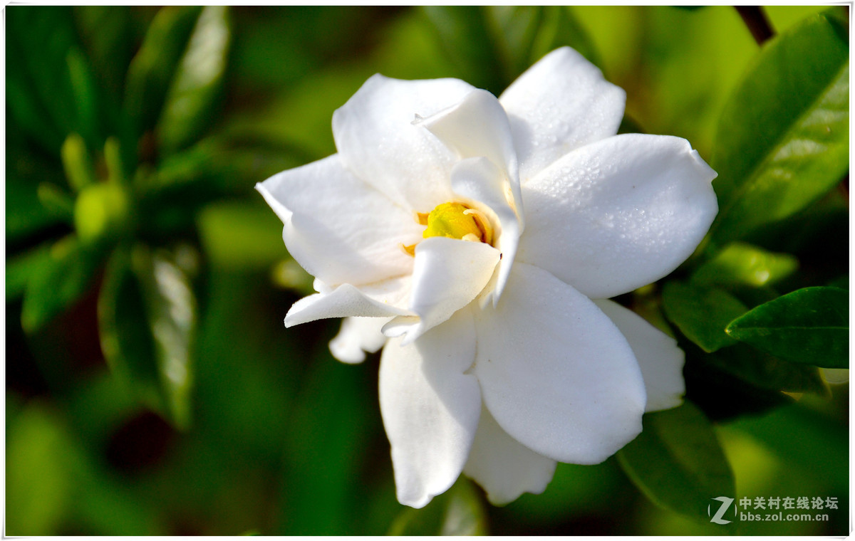 清晨漫步三河古镇！