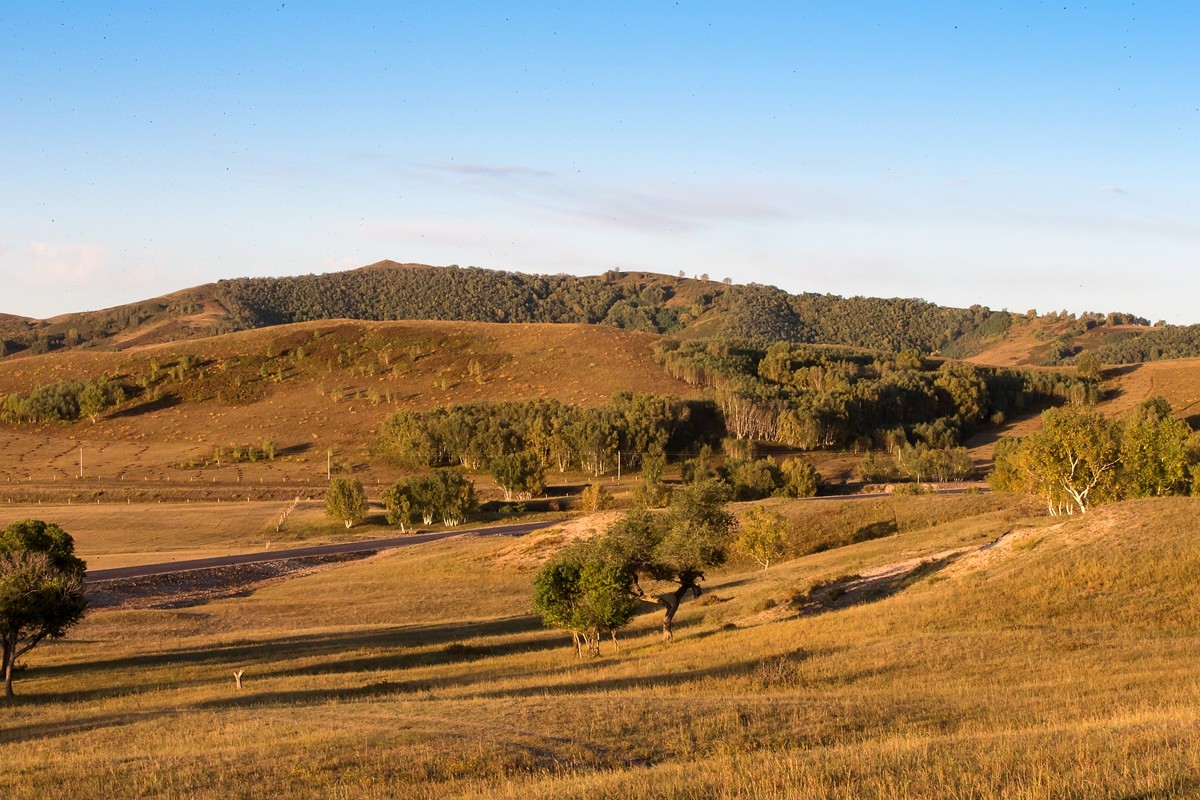 一组乌兰木通5祝北京论坛红红火火