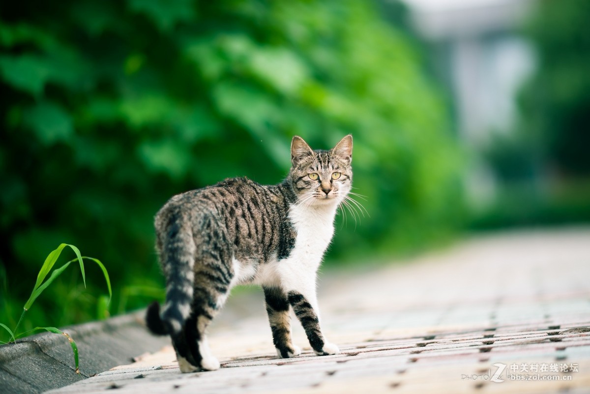 留恋的记忆 (24-70+ 135DC+ 少量16-35 F4)