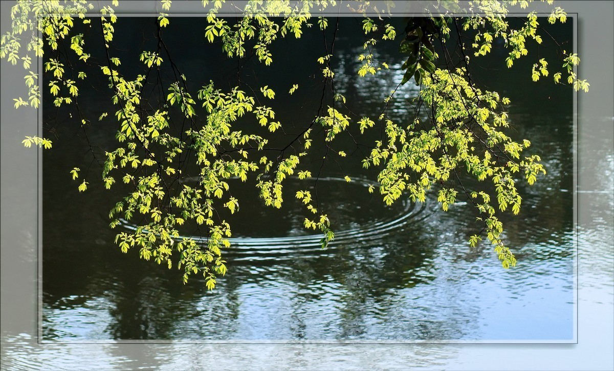 #版主坐堂# 尼康镜头星空(中国)2019年6月部分优秀作品欣赏