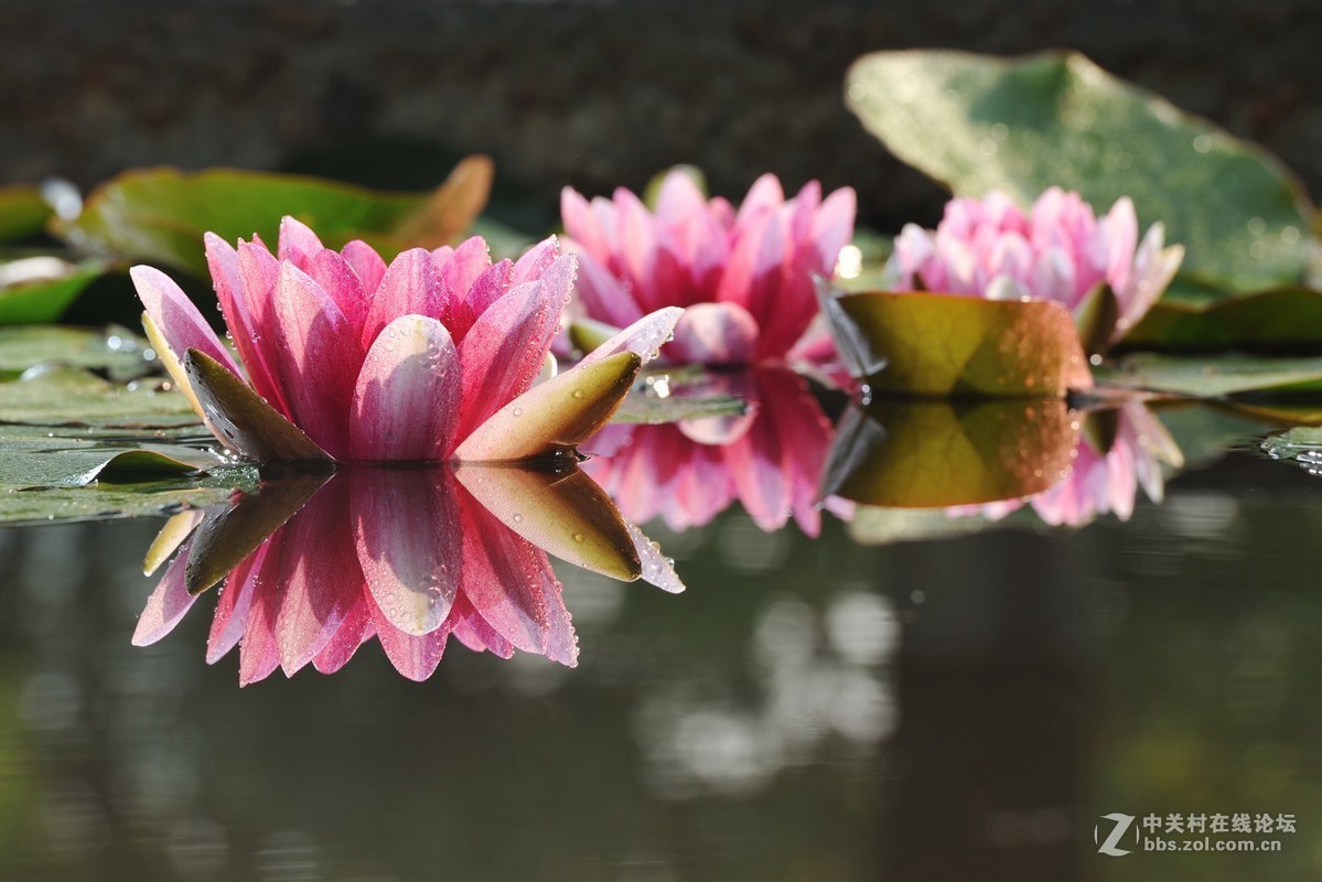 #版主坐堂# 尼康镜头星空(中国)2019年6月部分优秀作品欣赏