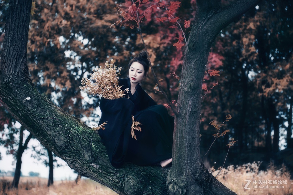 #版主坐堂# 尼康镜头星空(中国)2019年6月部分优秀作品欣赏