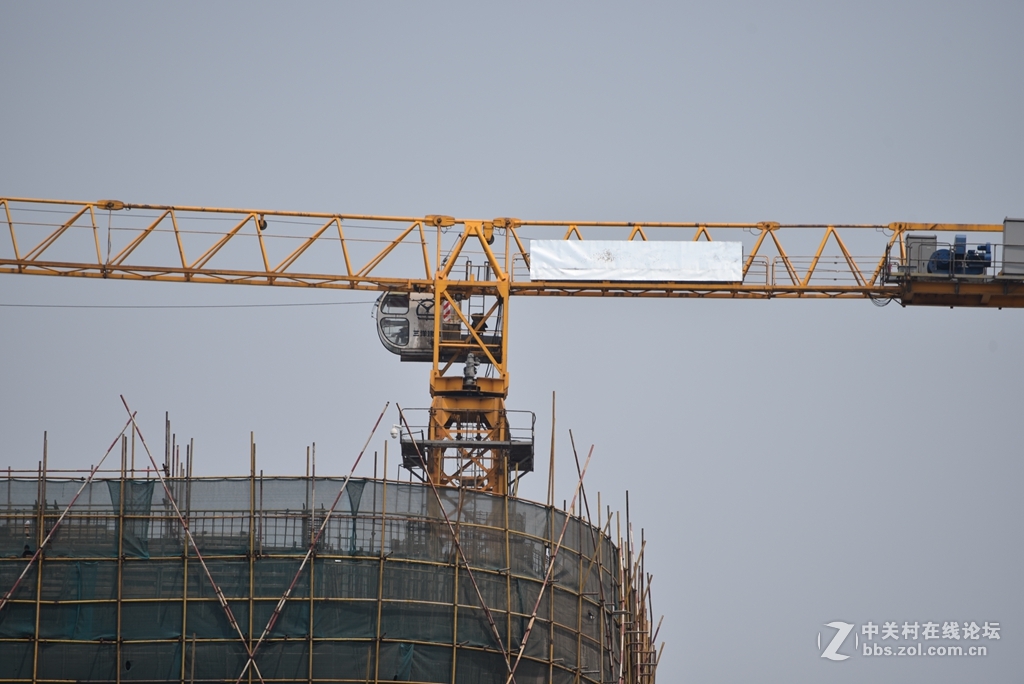 新入手的70300新头，随拍试一试