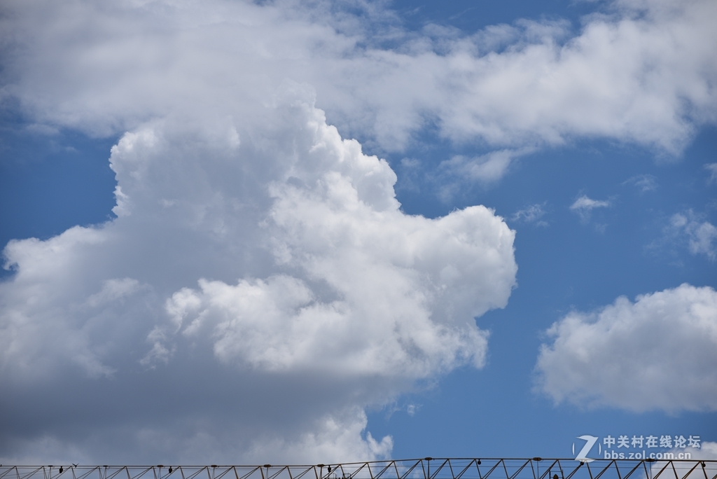 新入手的70300新头，随拍试一试