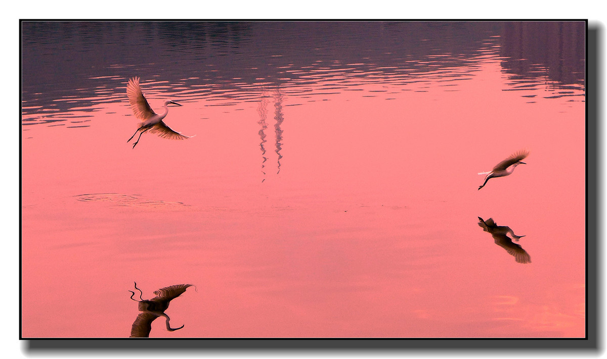 #版主坐堂#[尼康D7100星空(中国)]2015年4月份优秀精华作品总汇