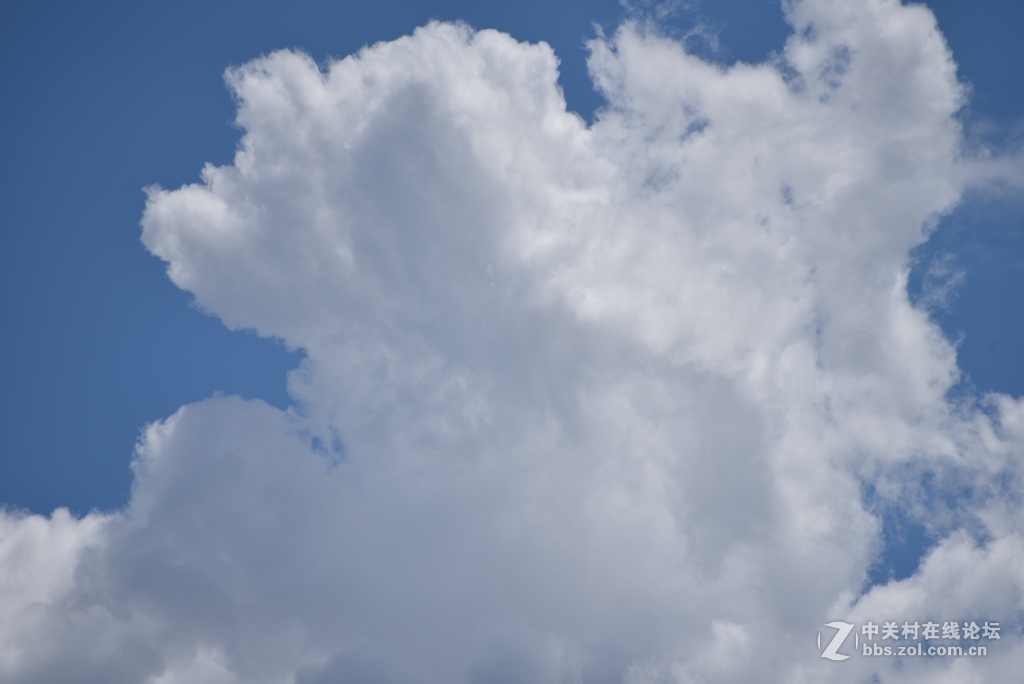 新入手的70300新头，随拍试一试