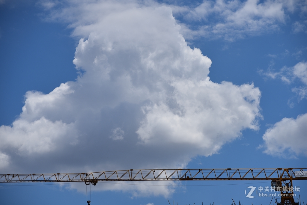 新入手的70300新头，随拍试一试