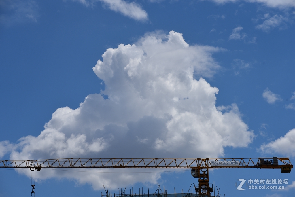 新入手的70300新头，随拍试一试