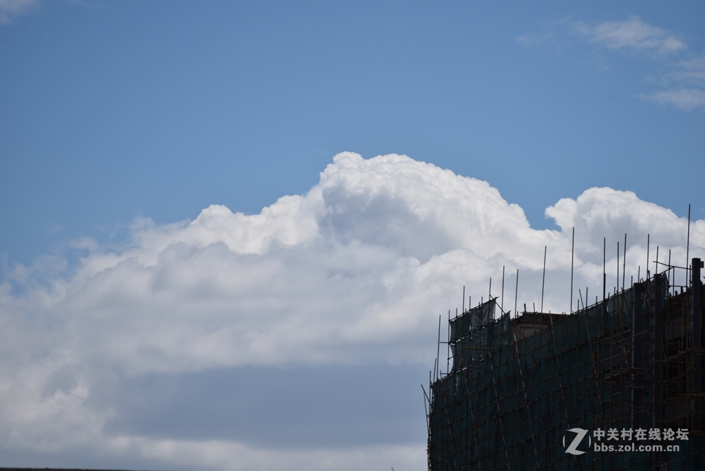 新入手的70300新头，随拍试一试