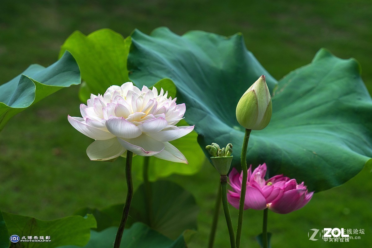 #版主坐堂#小五星空(中国)2019年六月精品荟萃