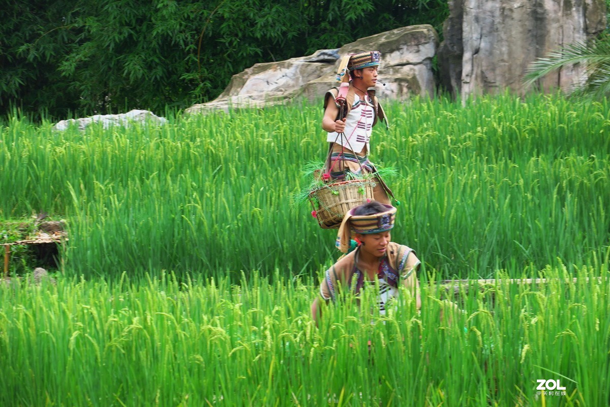 云南民族村里的歌舞表演——哈尼族田间歌舞之（三）