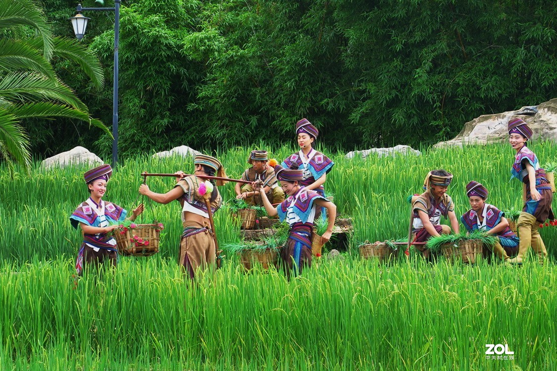 云南民族村里的歌舞表演——哈尼族田间歌舞之（三）