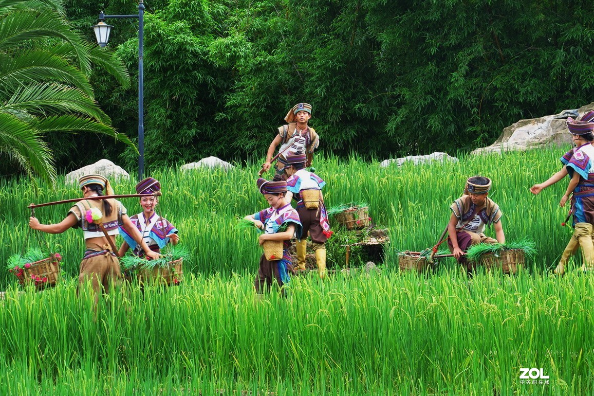 云南民族村里的歌舞表演——哈尼族田间歌舞之（三）