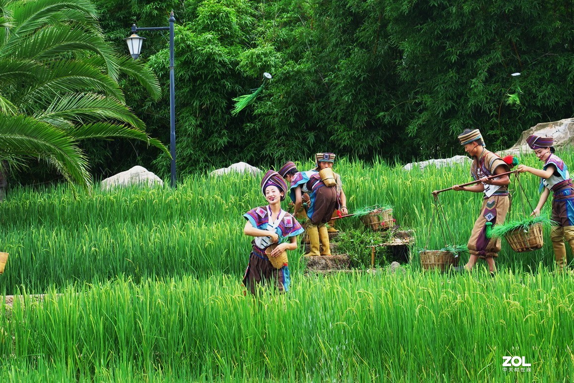 云南民族村里的歌舞表演——哈尼族田间歌舞之（三）