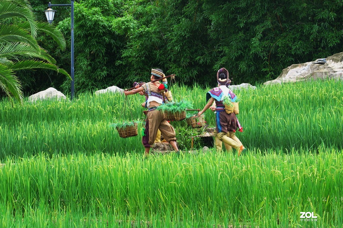 云南民族村里的歌舞表演——哈尼族田间歌舞之（三）