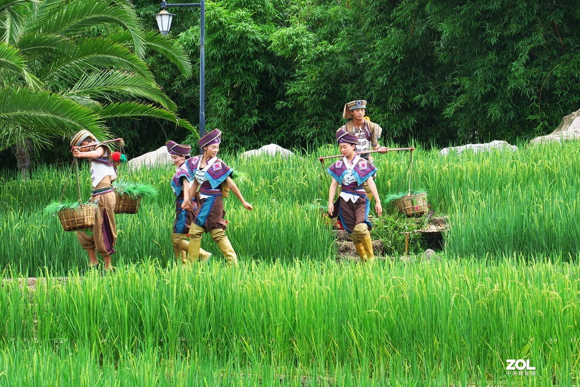 云南民族村里的歌舞表演——哈尼族田间歌舞之（三）