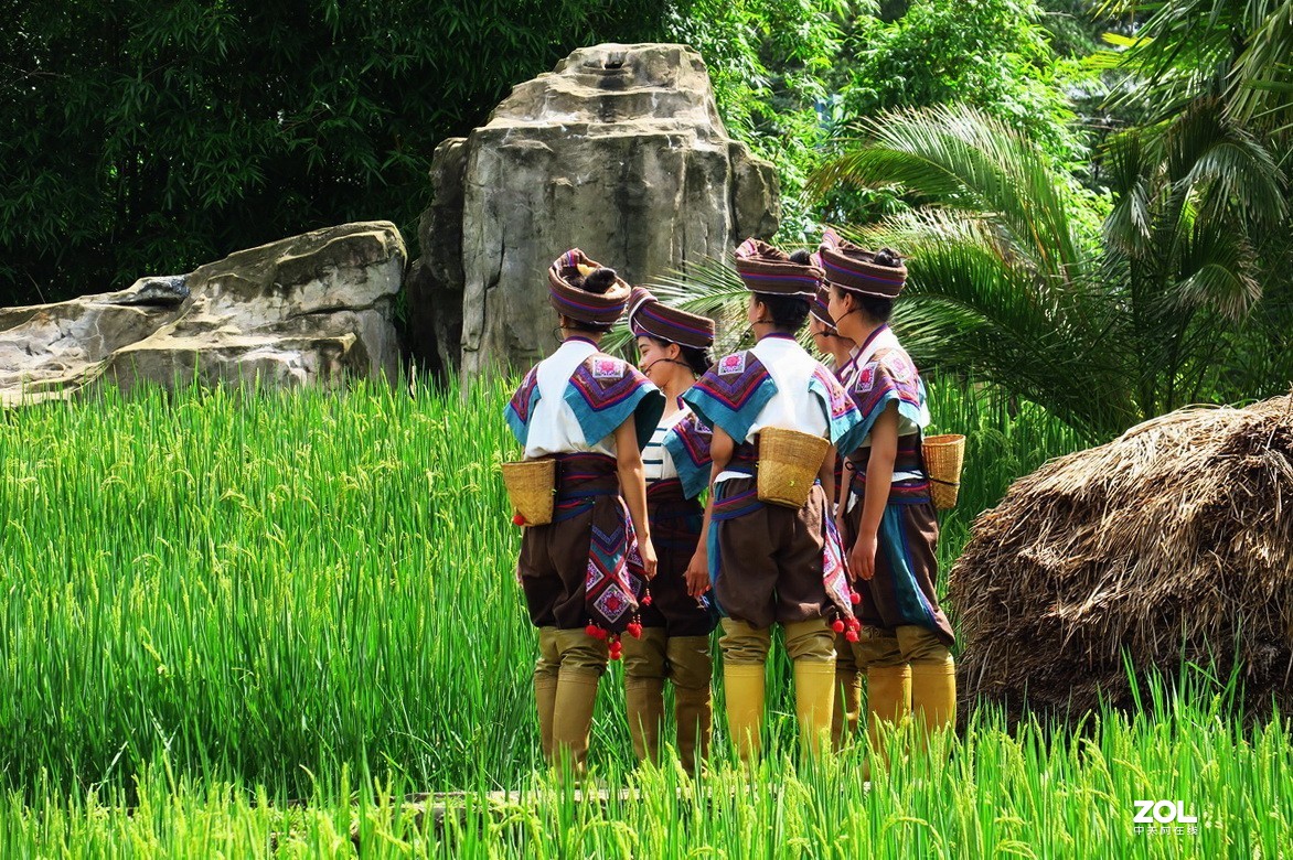 云南民族村里的歌舞表演——哈尼族田间歌舞之（三）