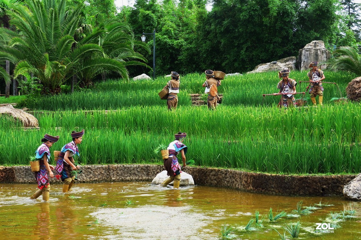 云南民族村里的歌舞表演——哈尼族田间歌舞之（三）