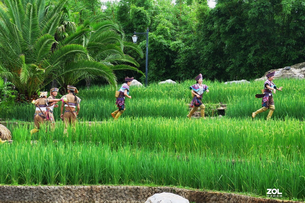 云南民族村里的歌舞表演——哈尼族田间歌舞之（三）