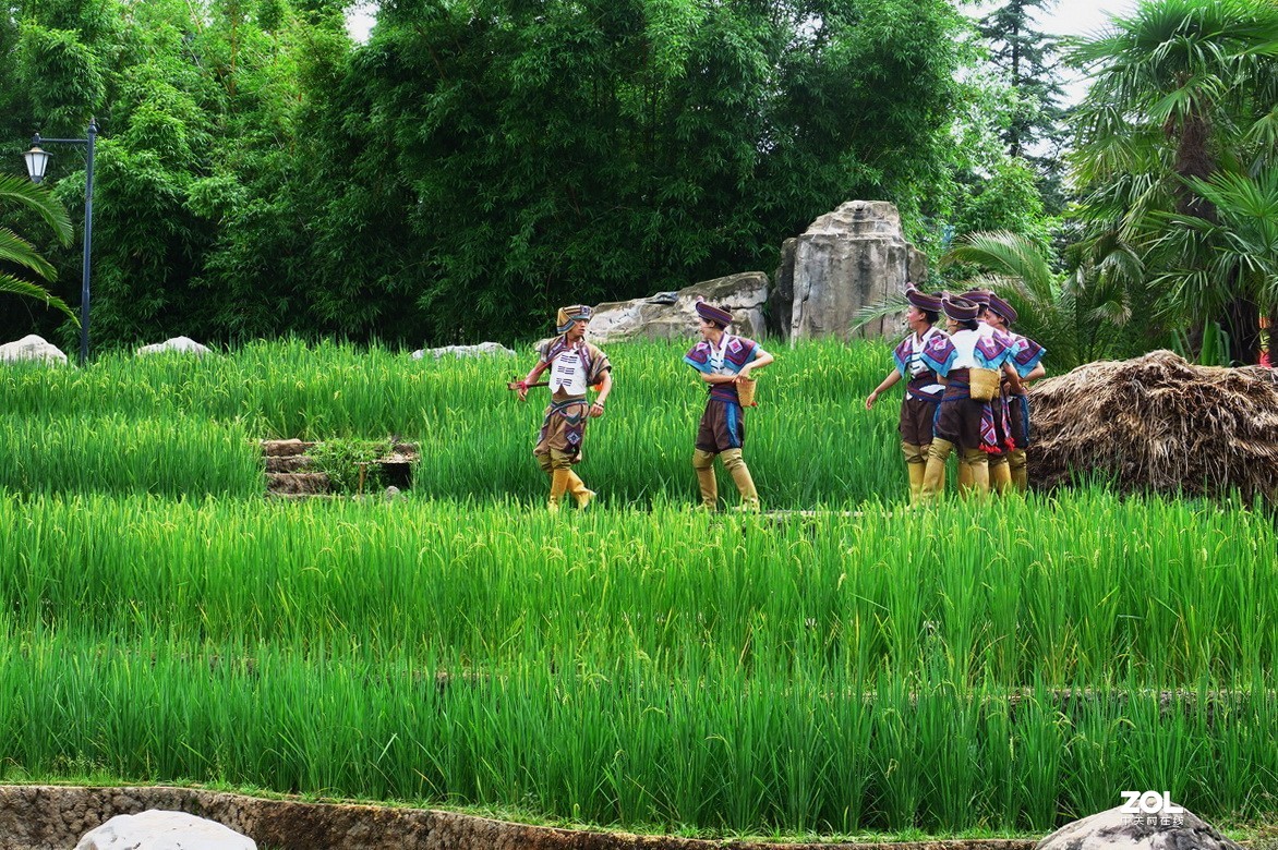 云南民族村里的歌舞表演——哈尼族田间歌舞之（三）