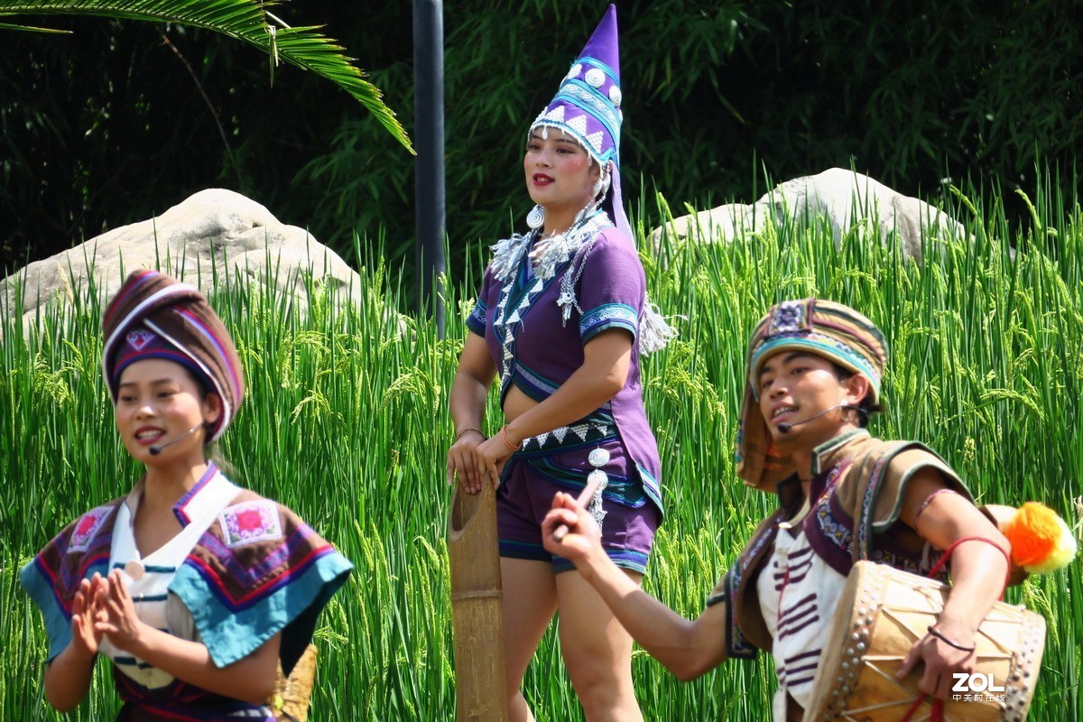 云南民族村里的歌舞表演——哈尼族田间歌舞之（三）